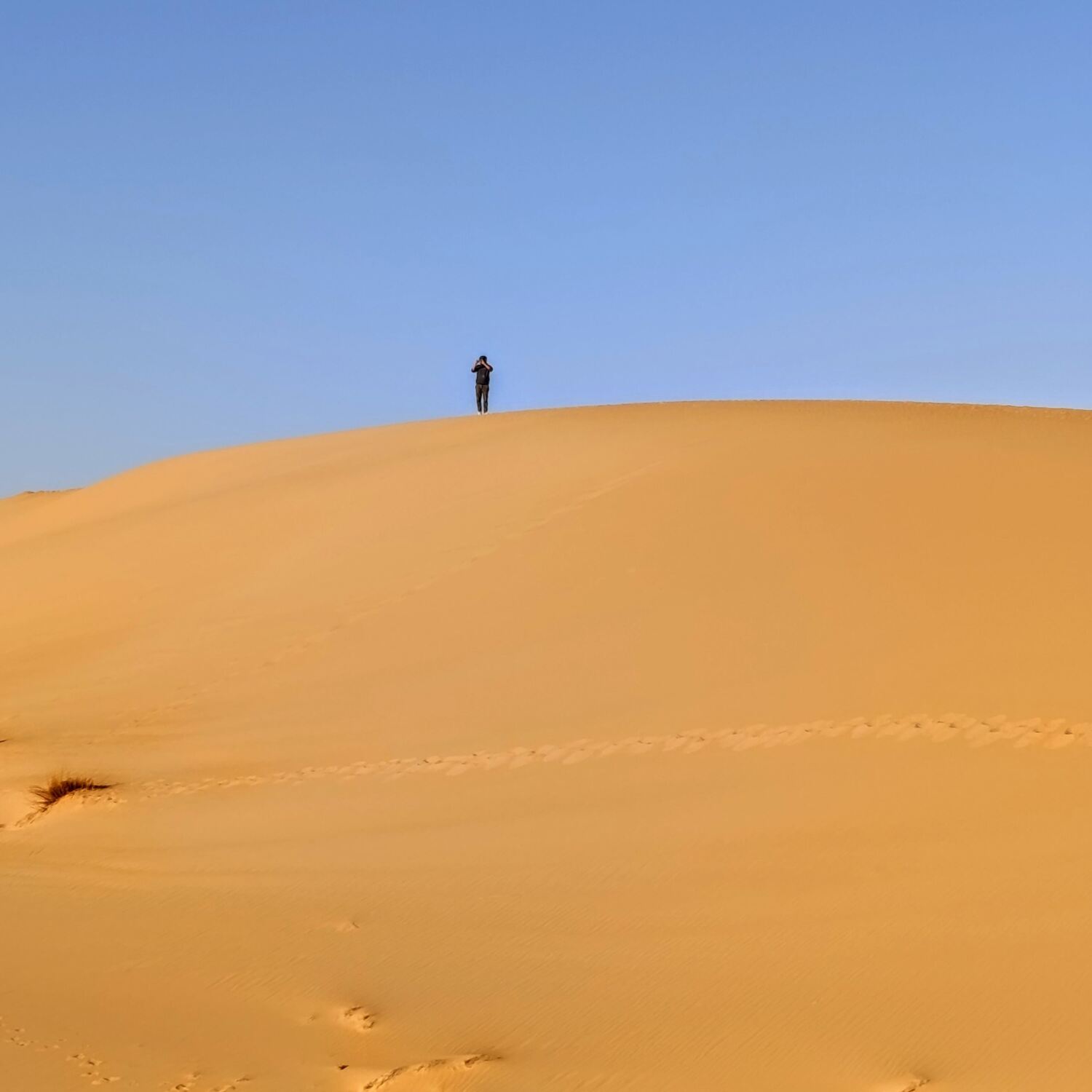 Democratic Republic of Algeria