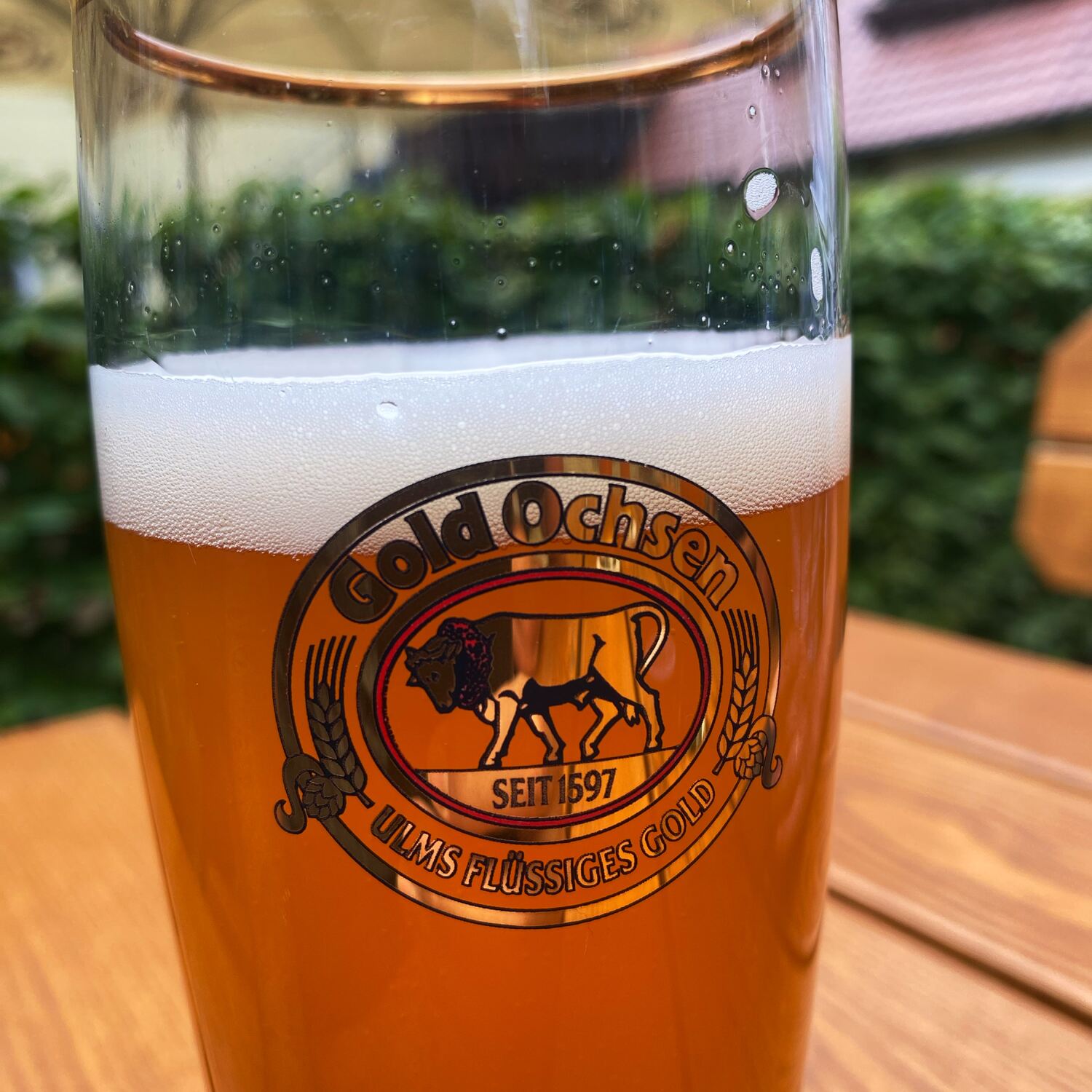 Ulm 2025 Genussradler