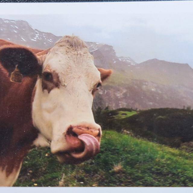 Birgit Stuckenberger