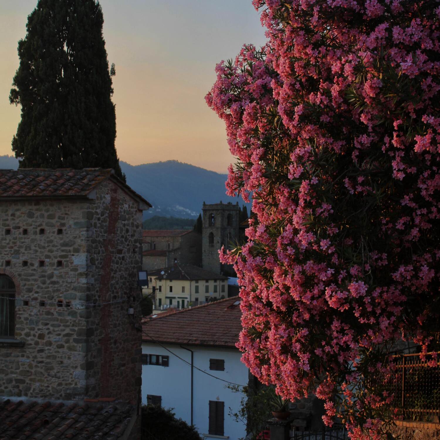 Toscana 2024🇮🇹