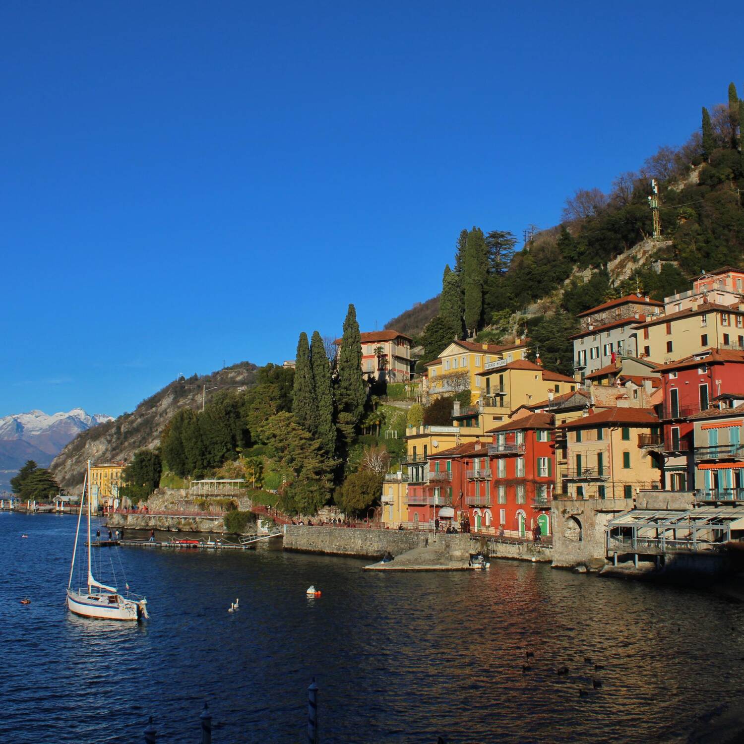 Lago di Como 2024🇮🇹