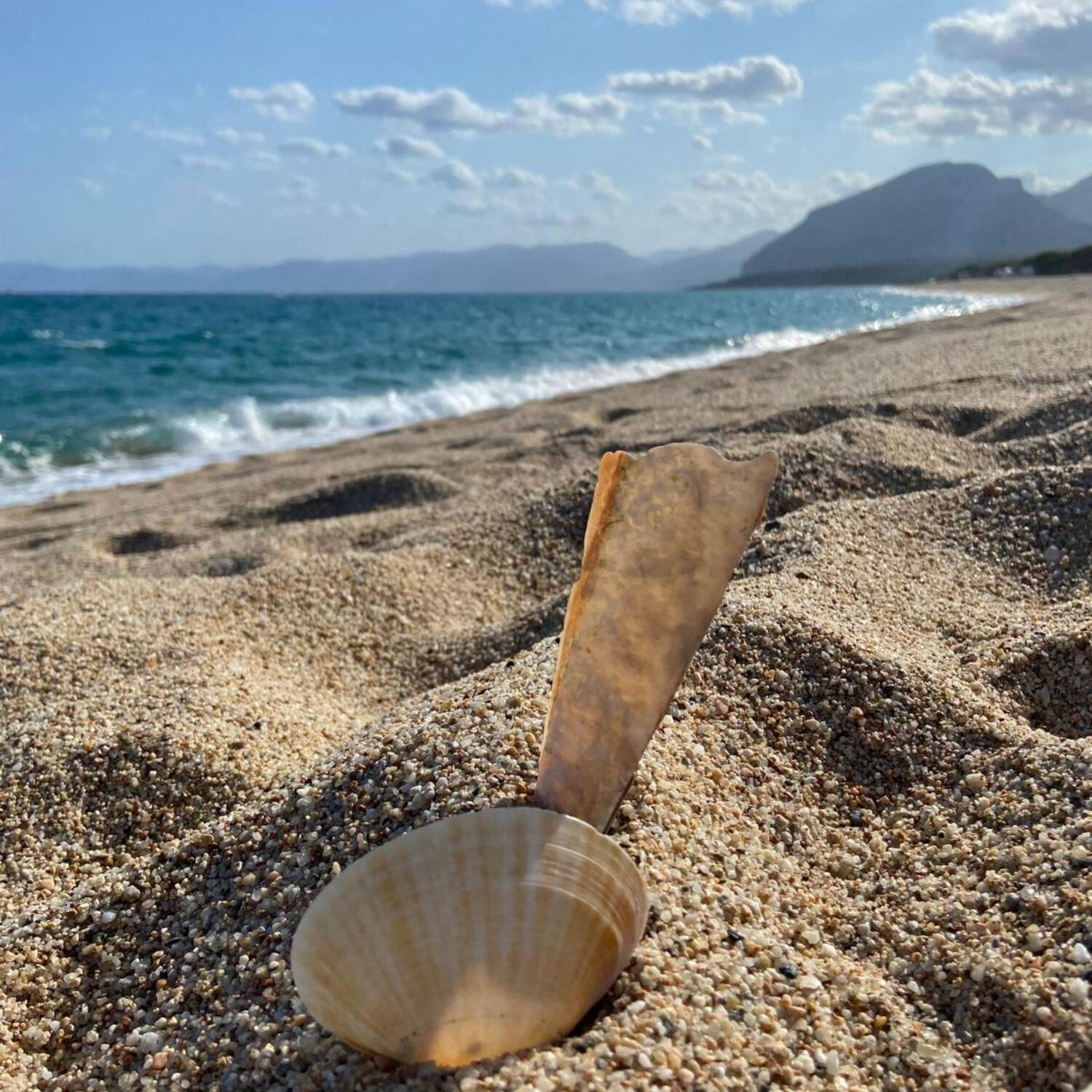 Sardegna 2024🇮🇹