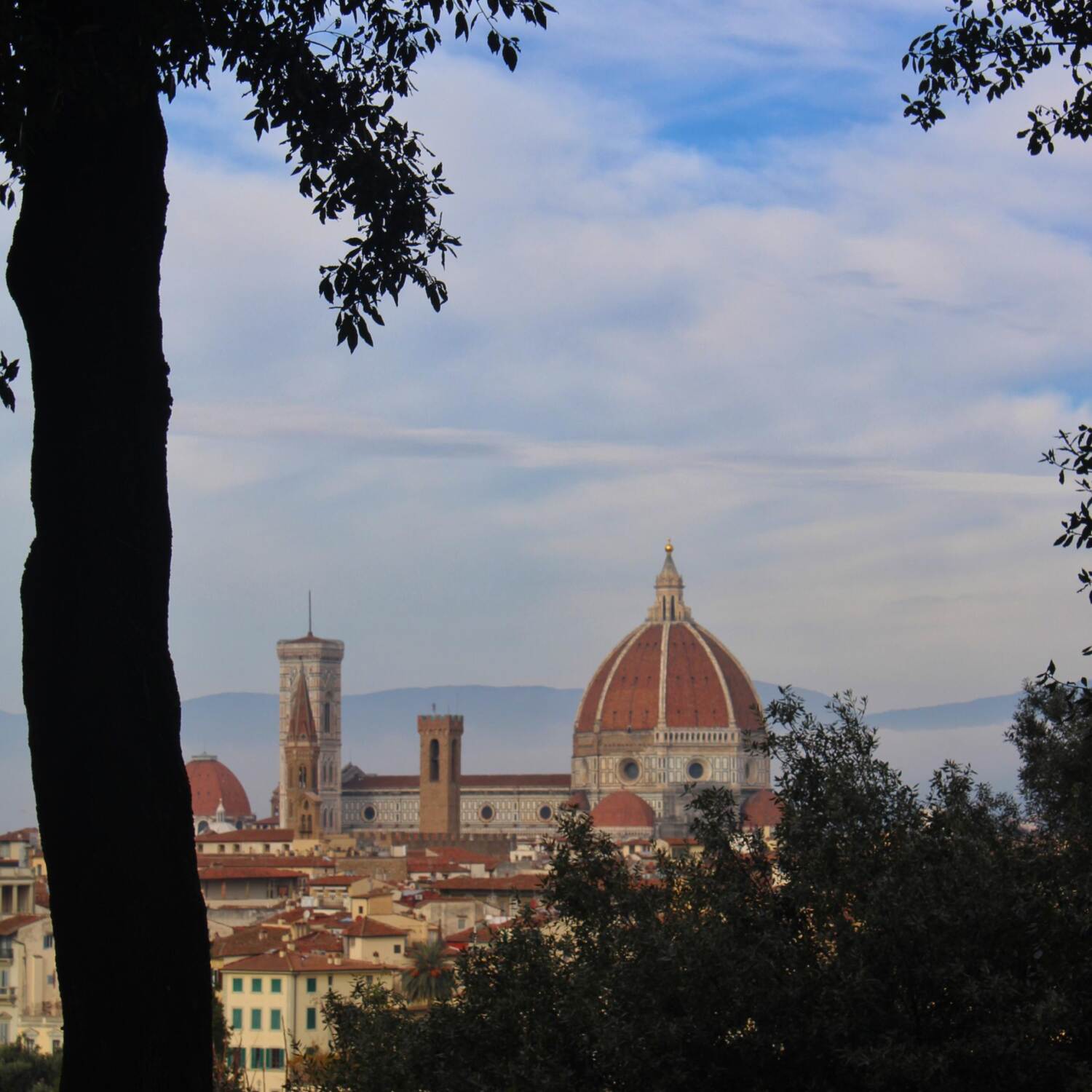 Firenze 2024🇮🇹