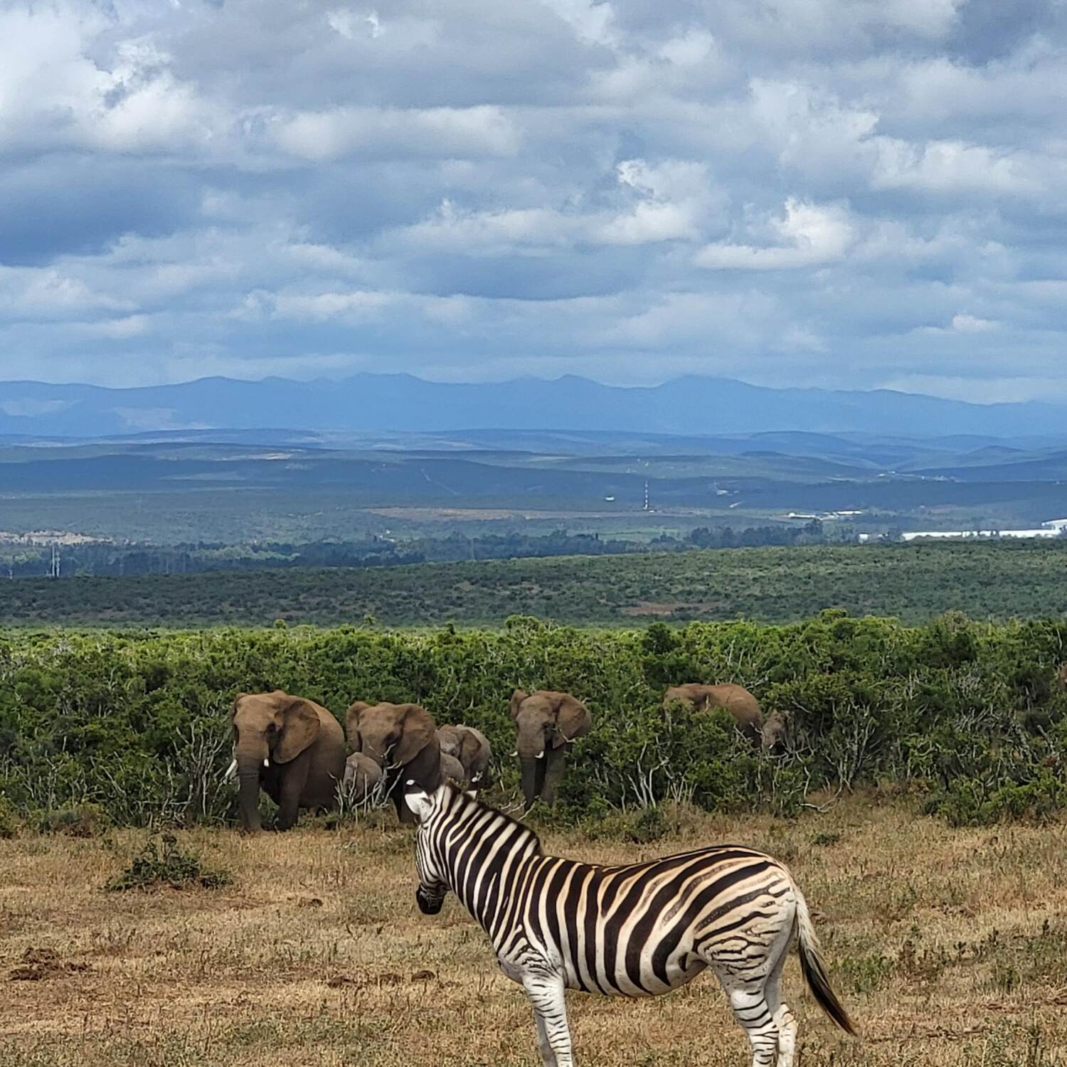 Namibia