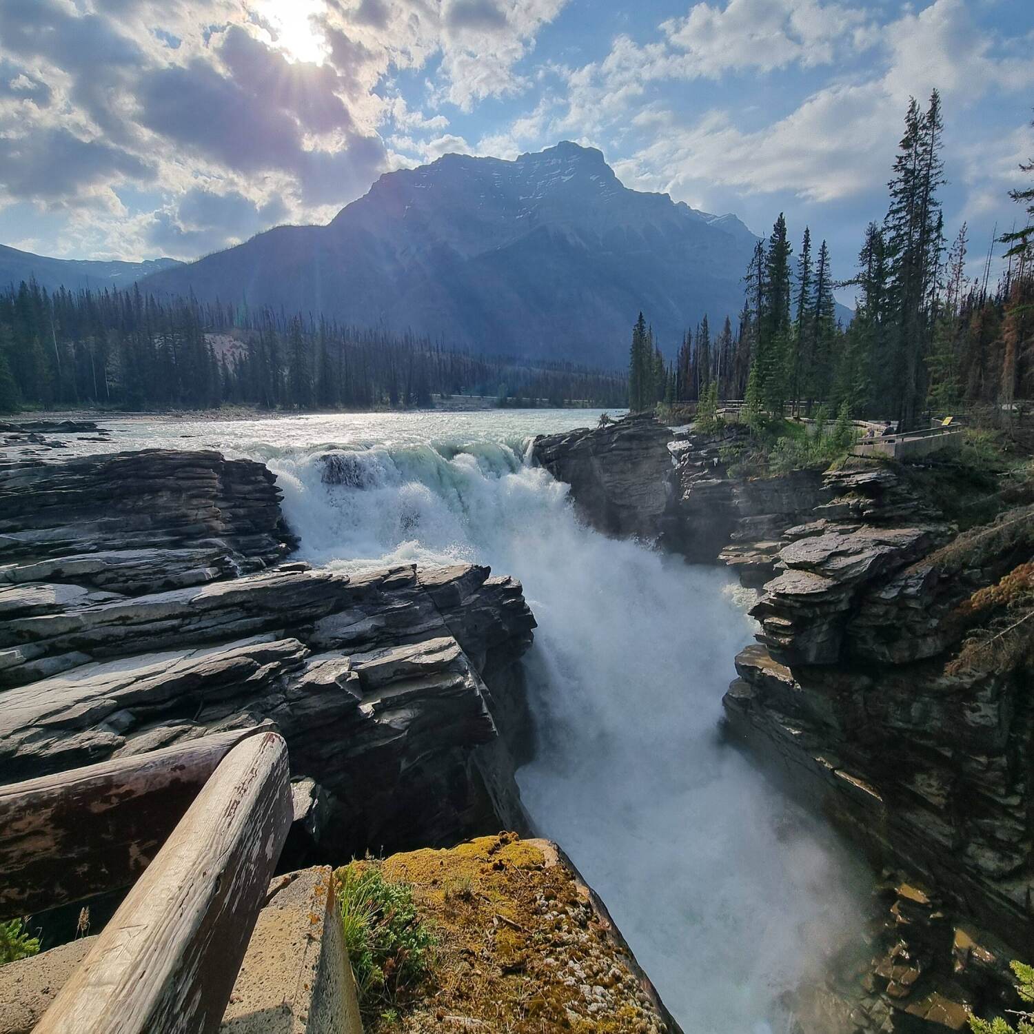 🇨🇦🐻 KANADA 🫎🇨🇦