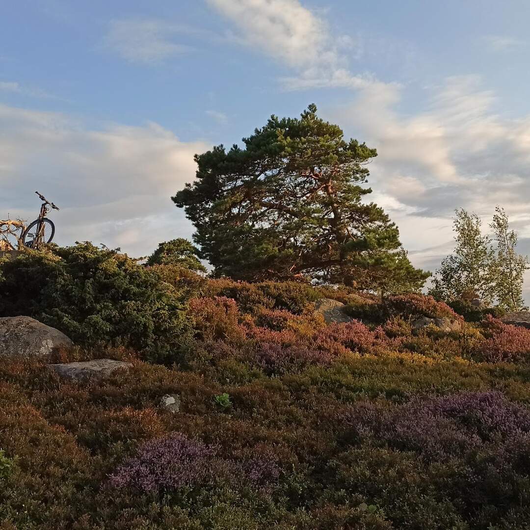 Bornholm