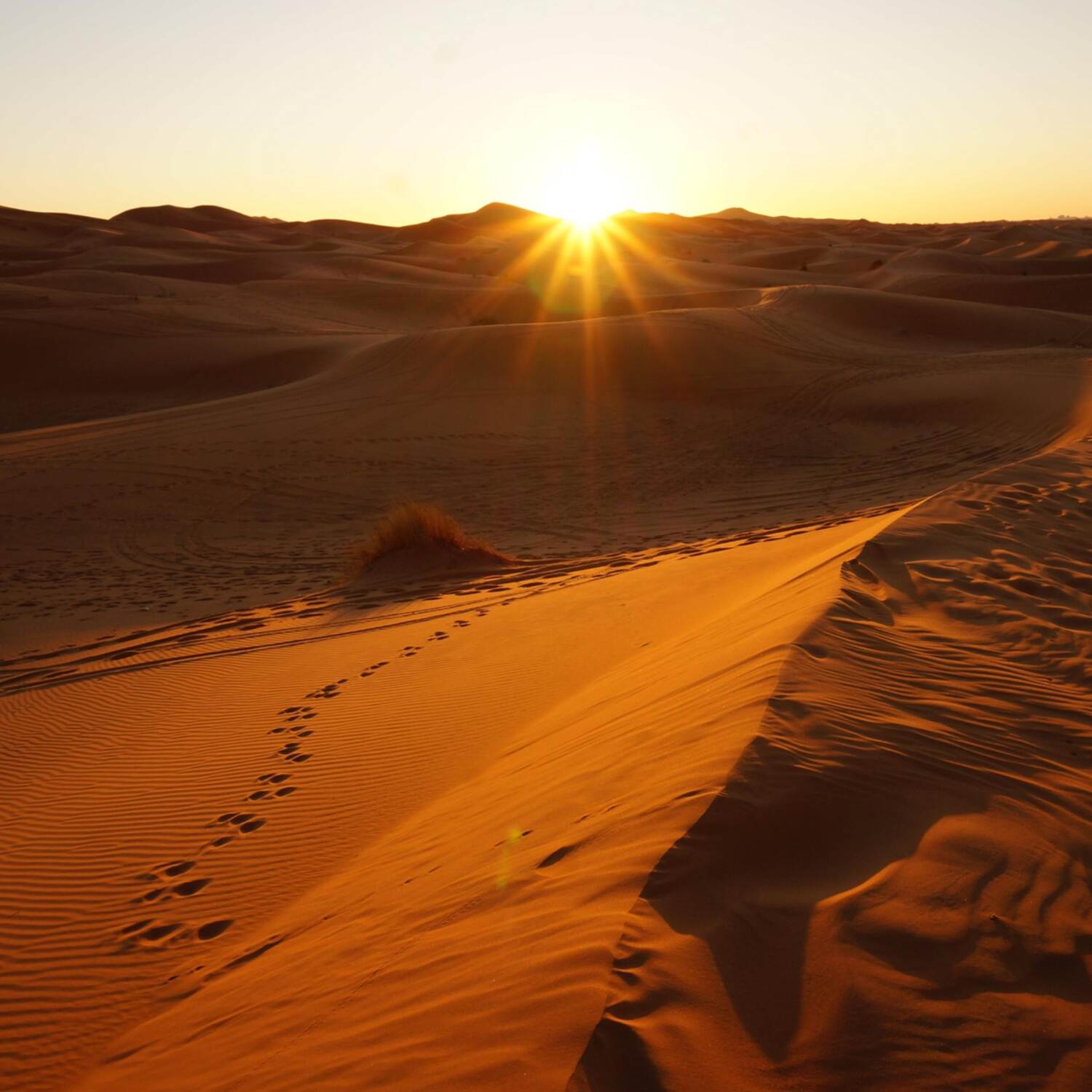 Maroc