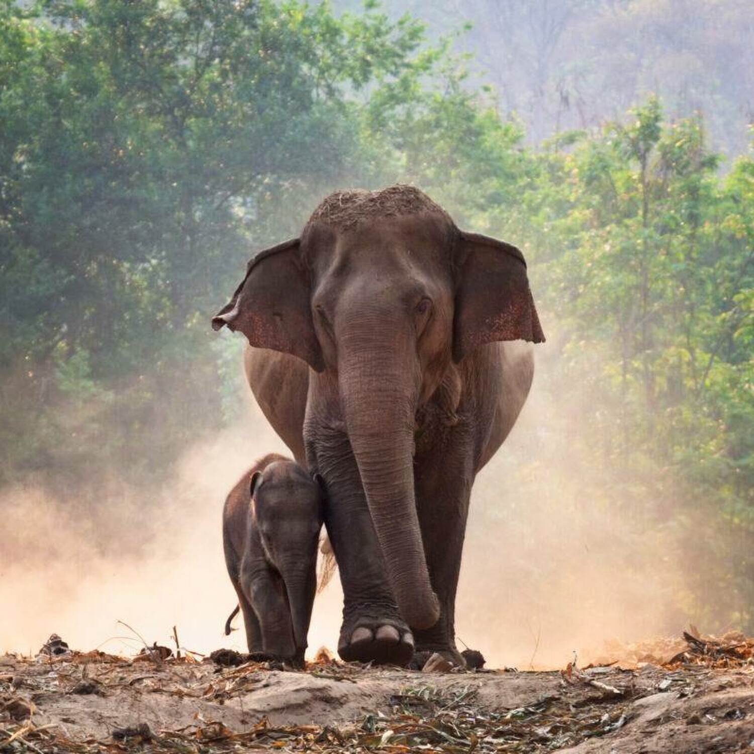 Thailand Ferien