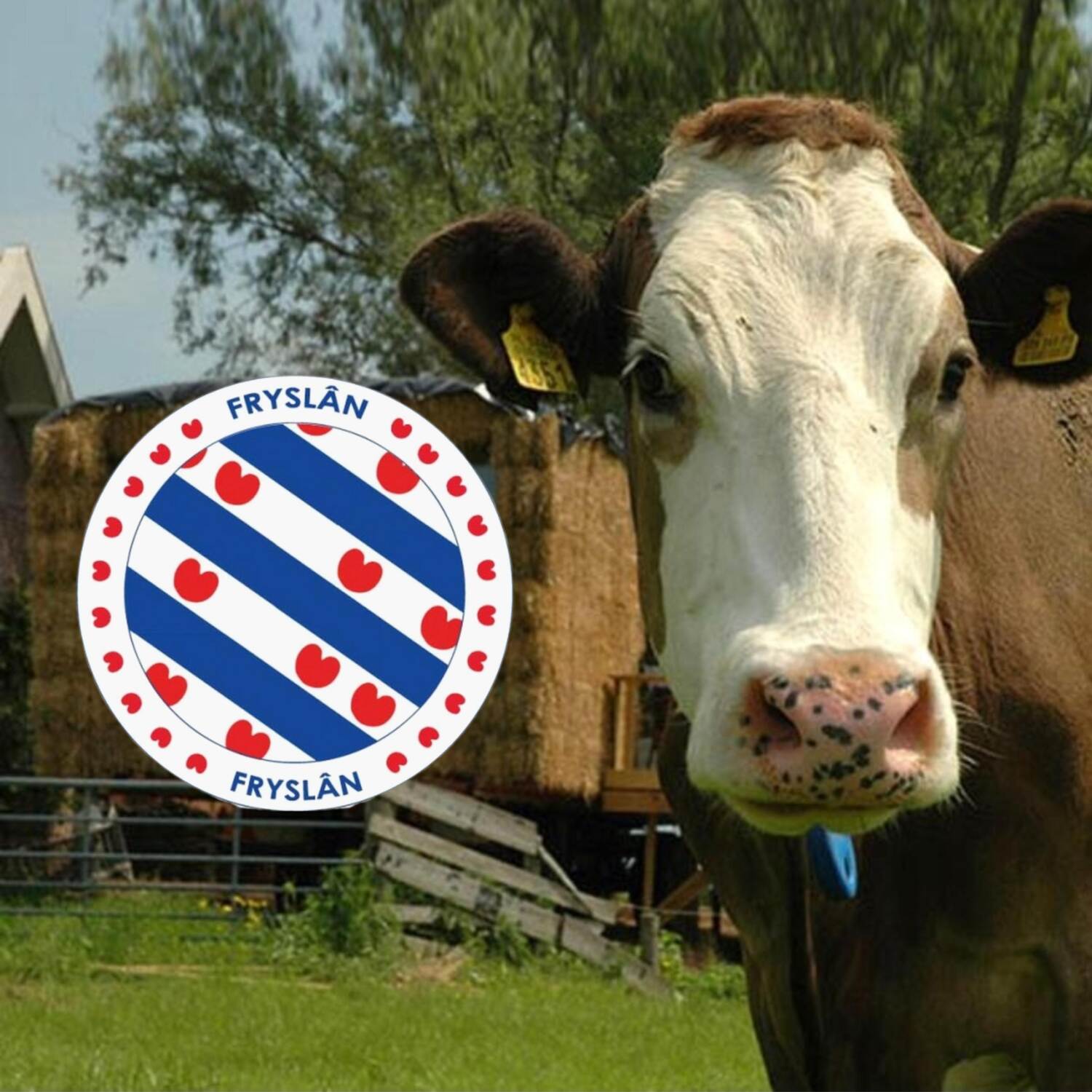 Fryslân 2025