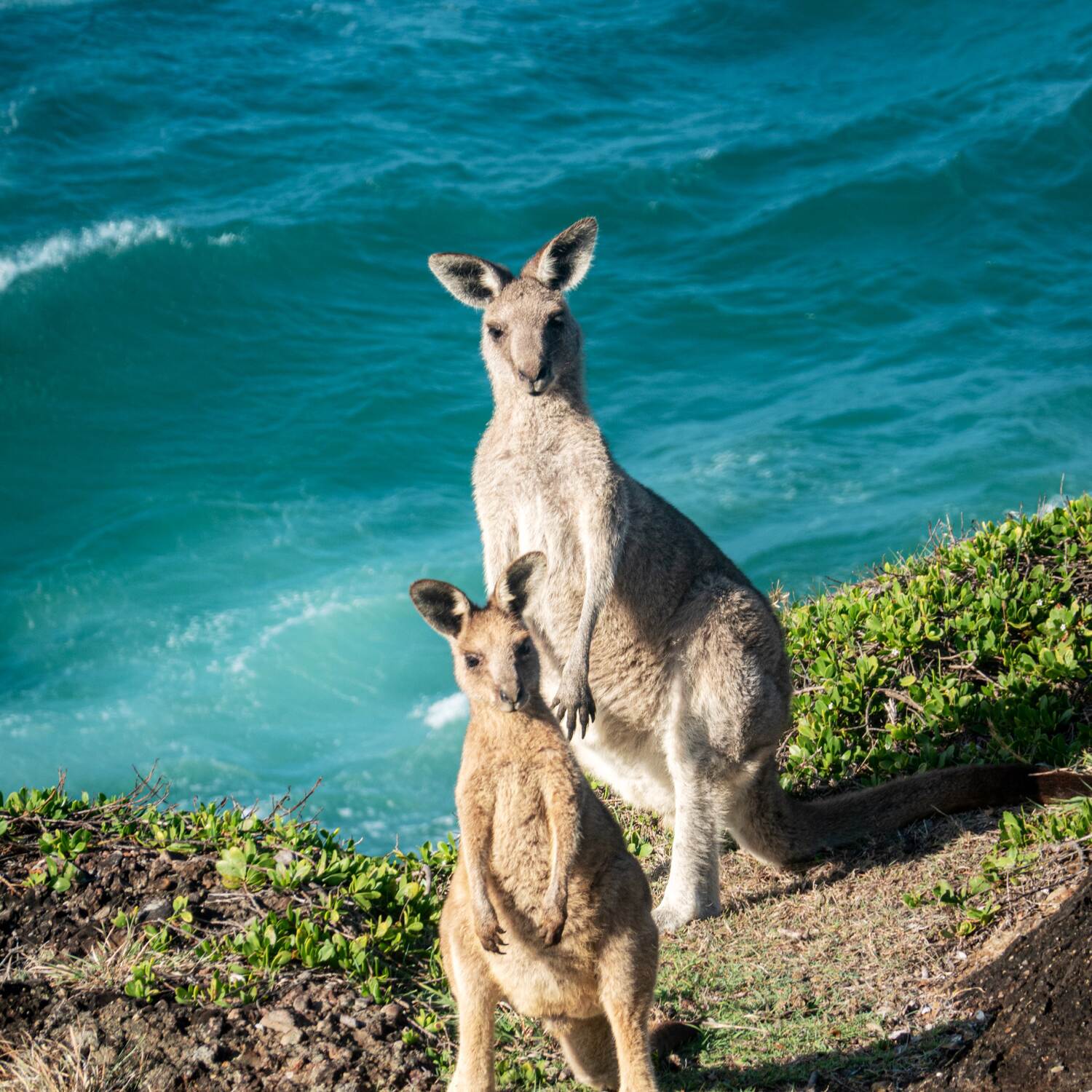 Australia🇦🇺