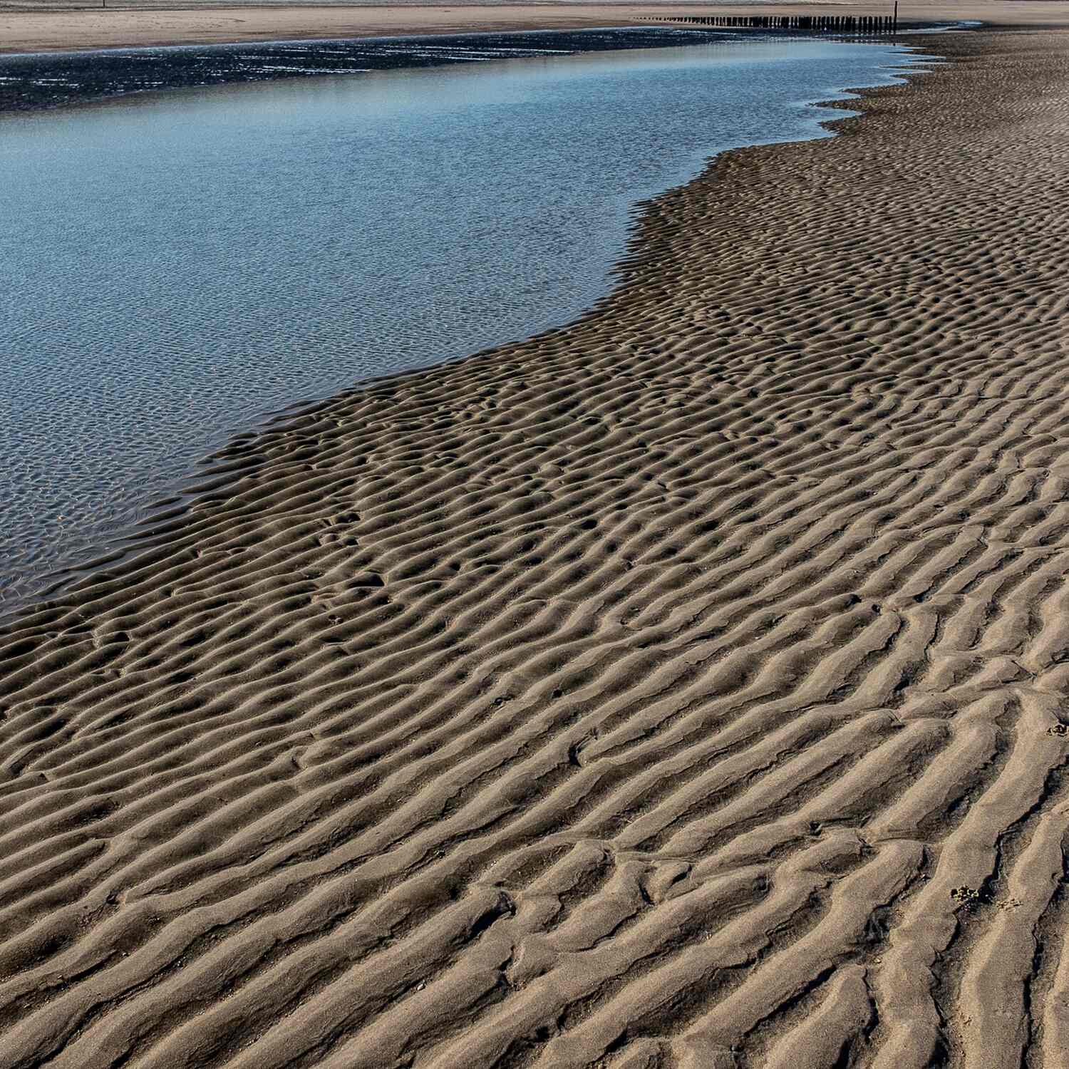North Sea coast path, 20241005