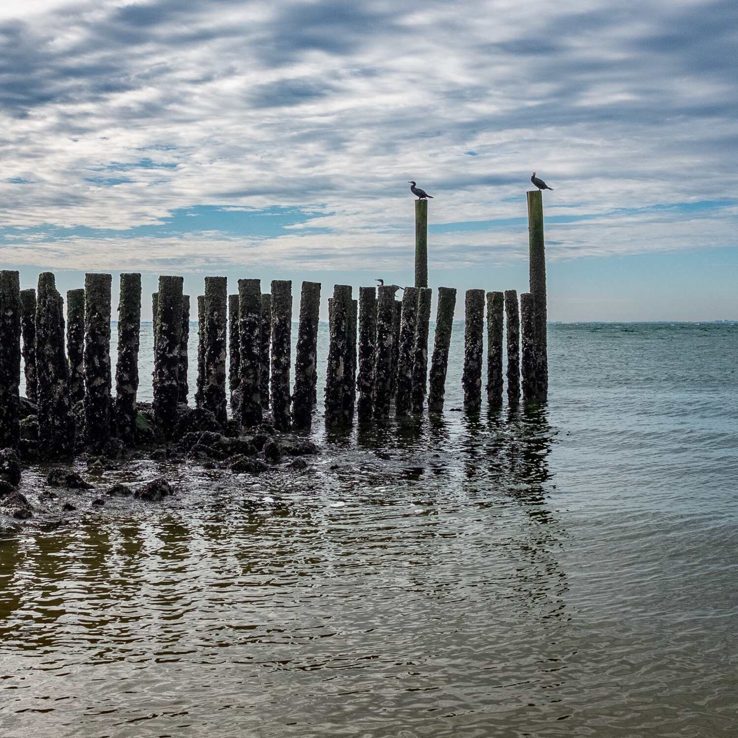 Noordzee kustpad, 20241006