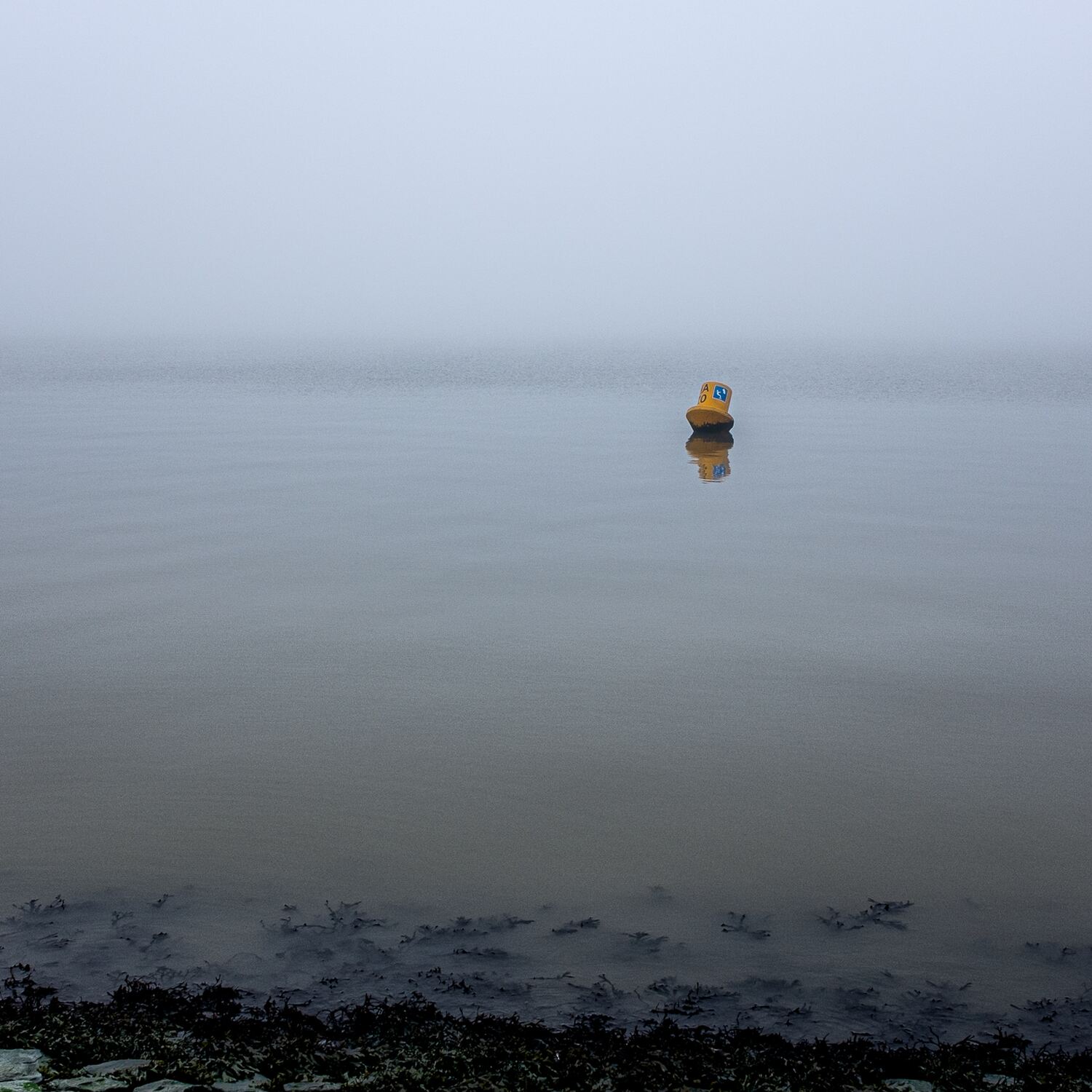 Noordzee kustpad, 20250118