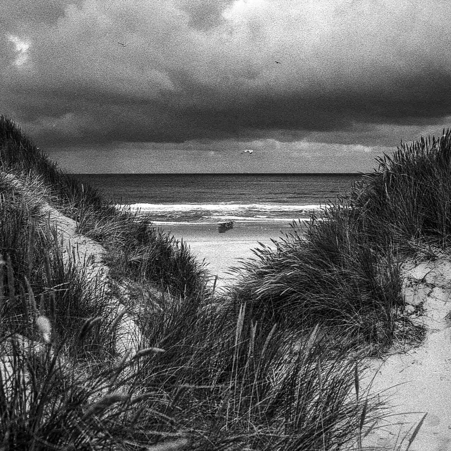 Noordzee kustpad, 20250820