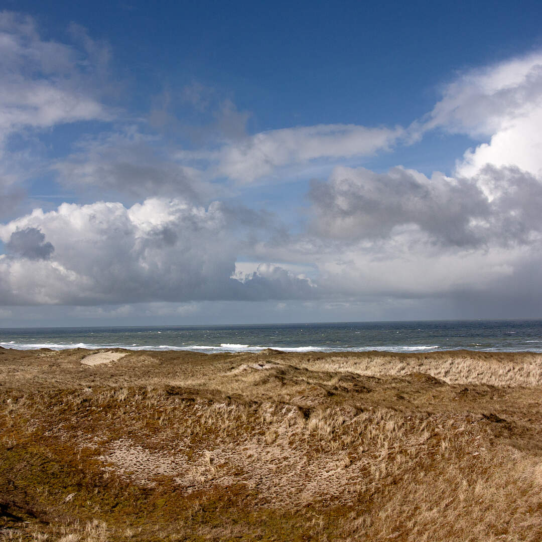 Noordzee kustpad, 20220409