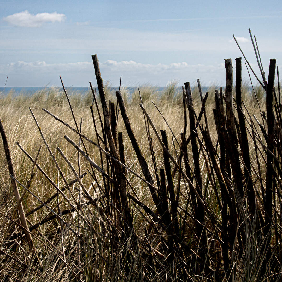 Texel, Den Burg, 20220410