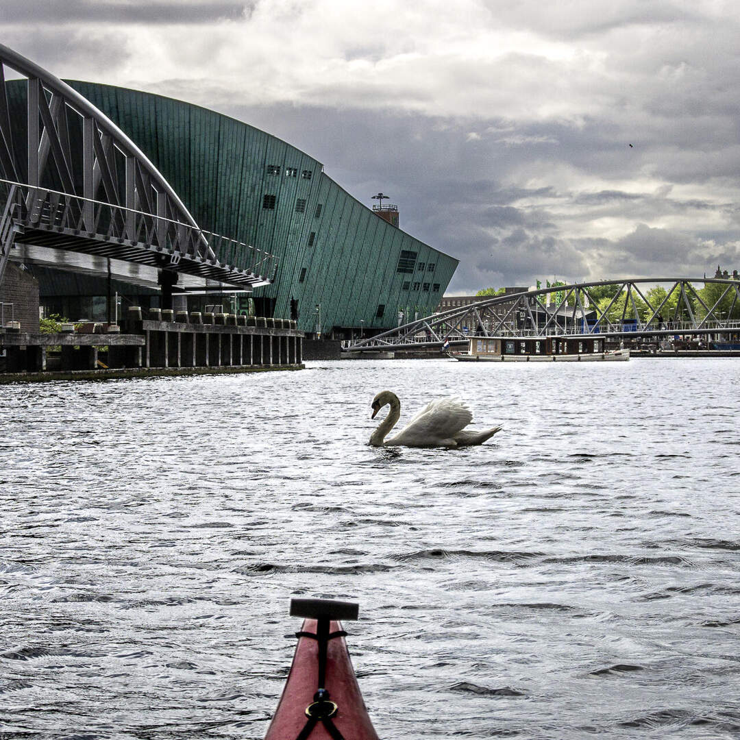 Kayaktrip, Amsterdam, 20220529