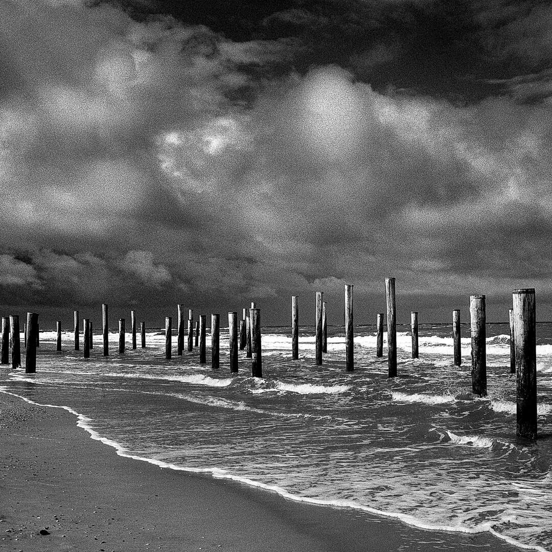 Noordzee kustpad, 20220524