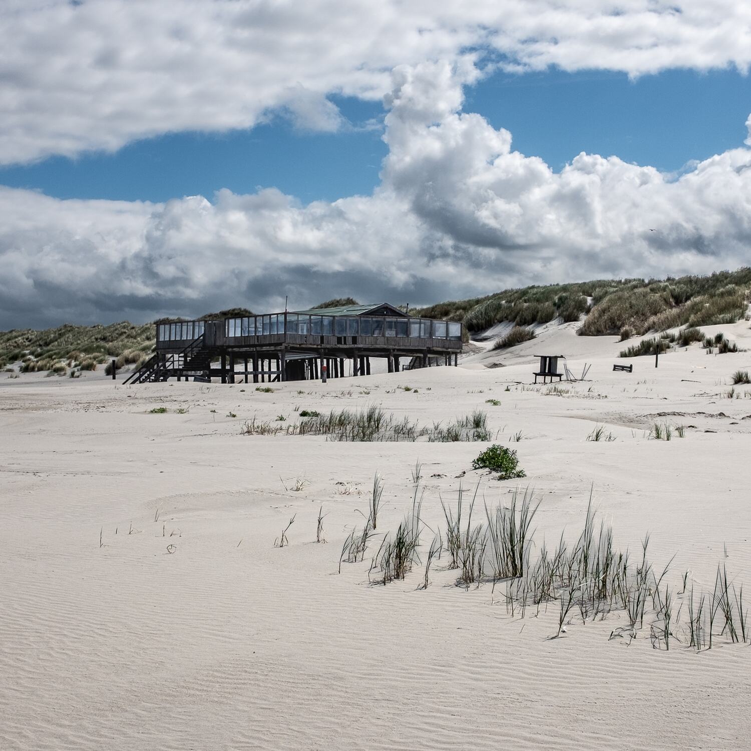 North Sea coast path, 20250824