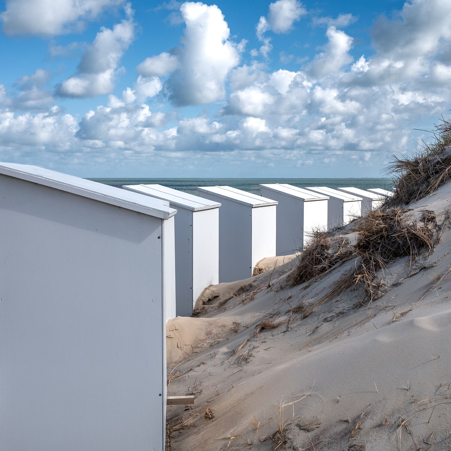 Noordzee kustpad, 20250610