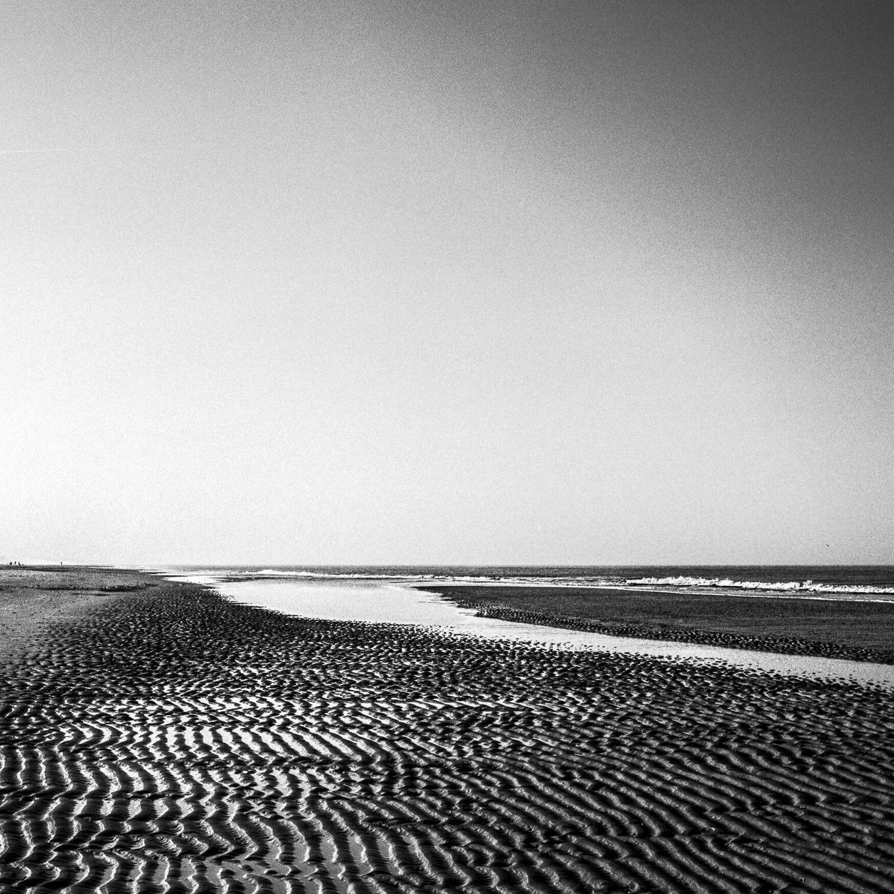 Noordzee kustpad, 20230214