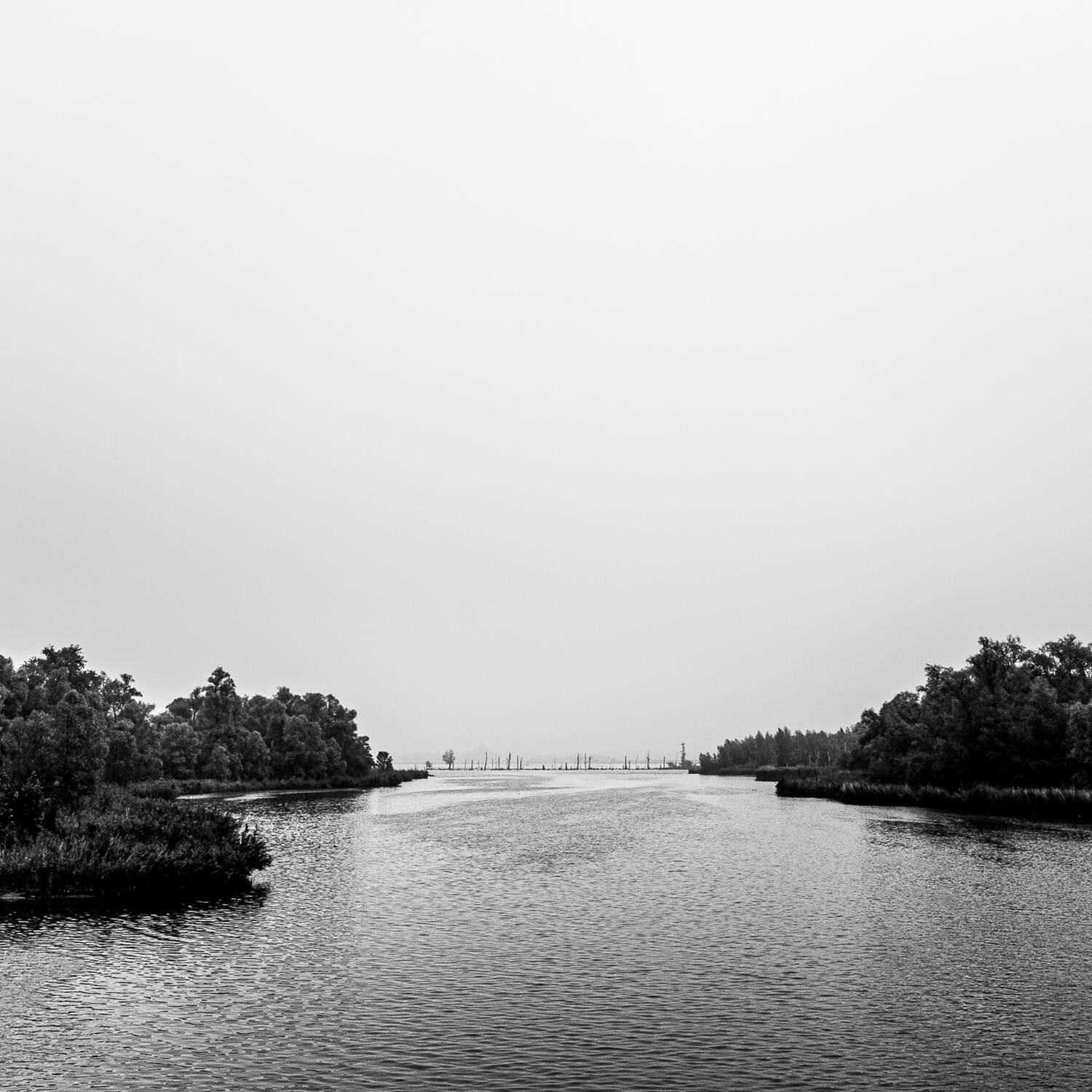 Biesbosch, 20231008