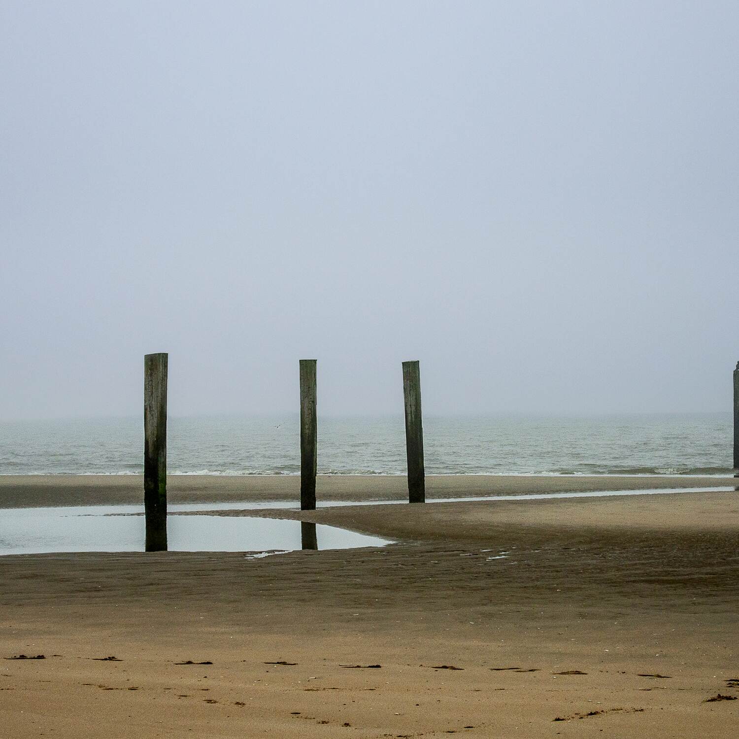 Noordzee kustpad, 20230510