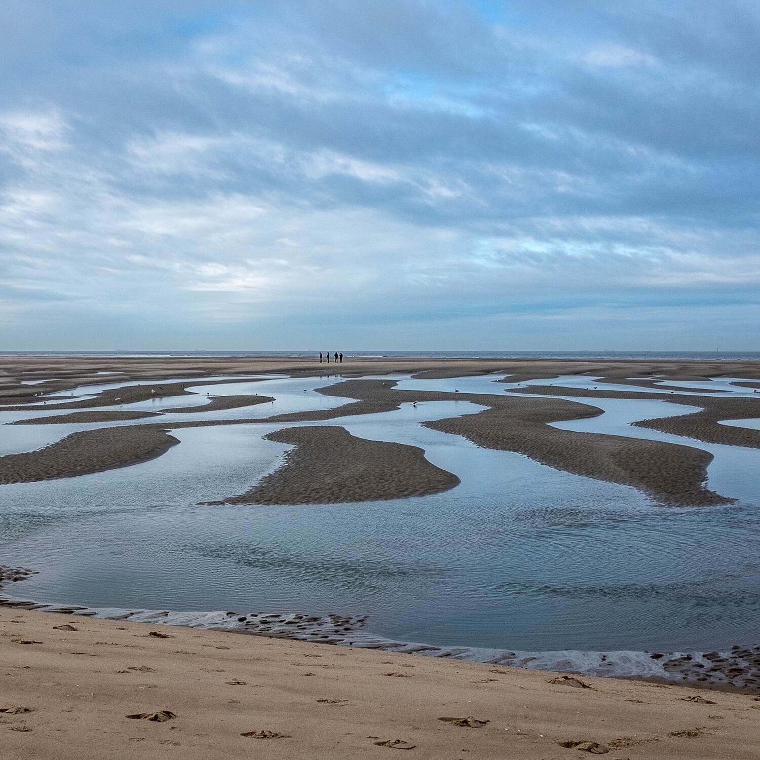 Noordzee kustpad, 20240217
