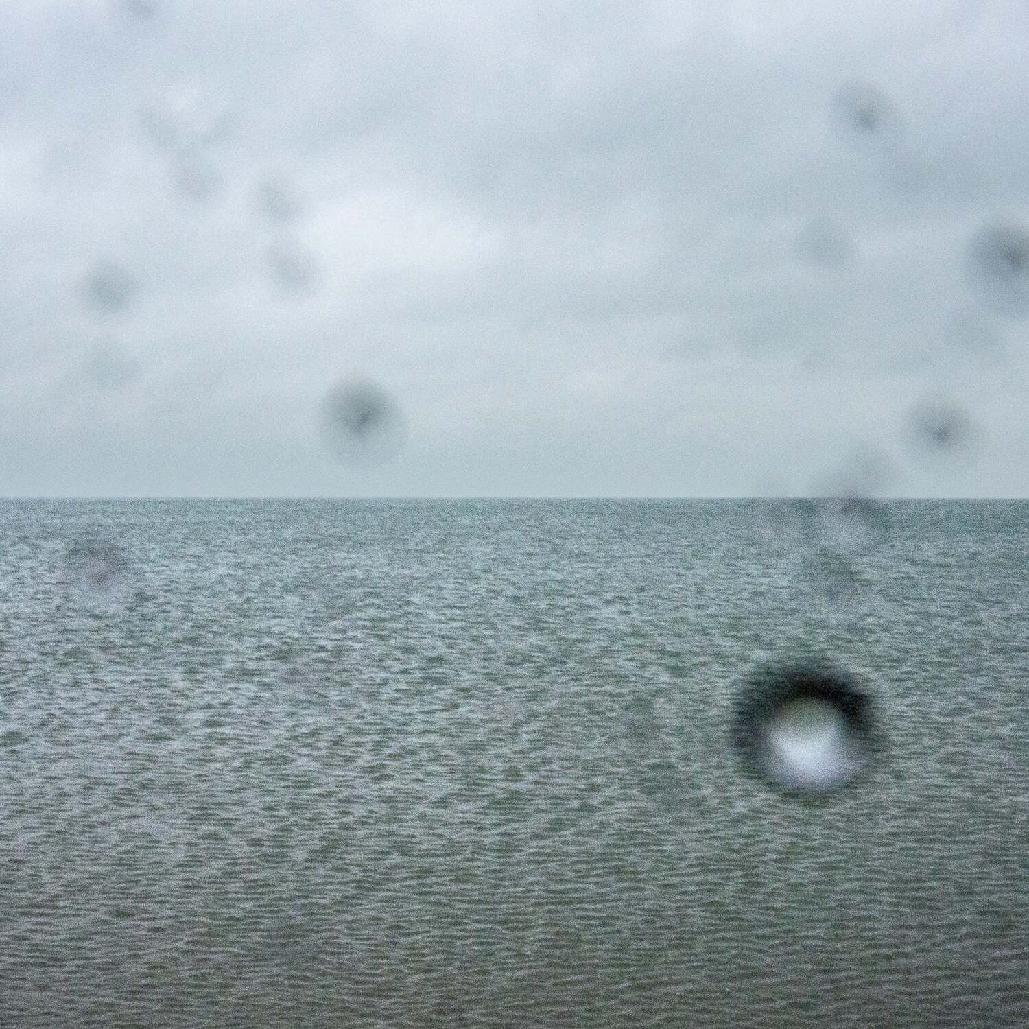 Noordzee kustpad, 20240218