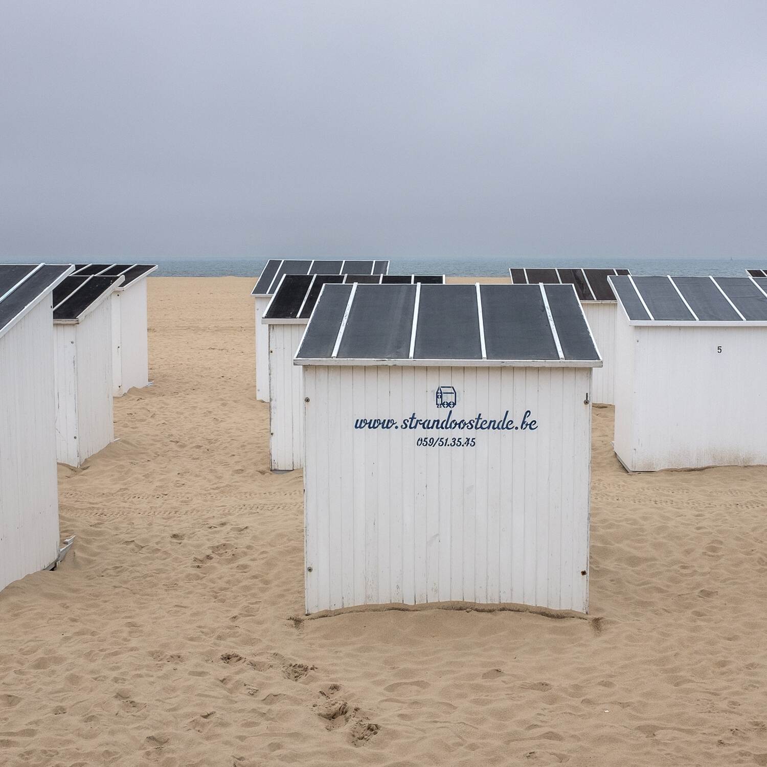 Noordzee kustpad, 20240519
