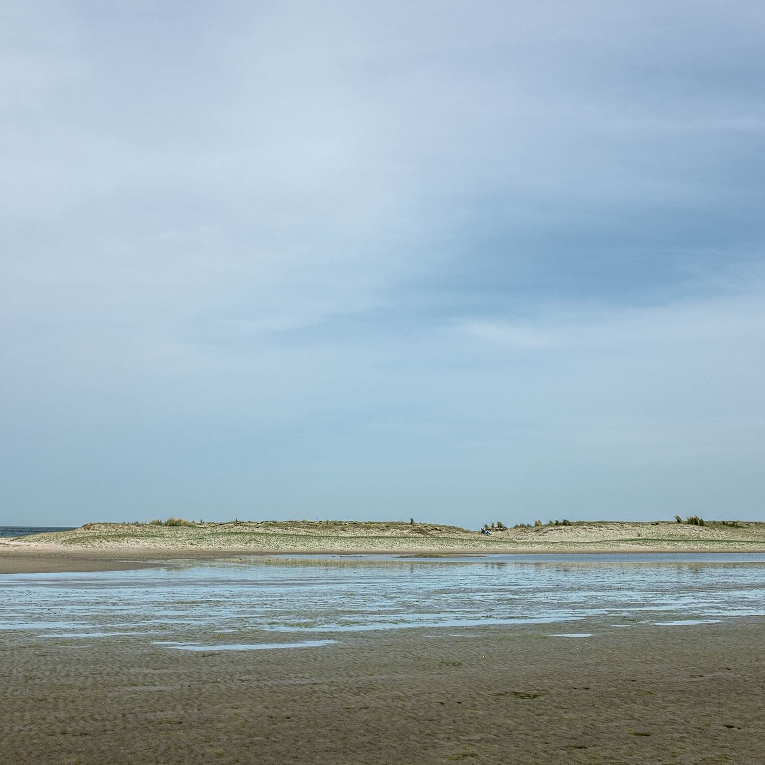 Noordzee kustpad, 20240406