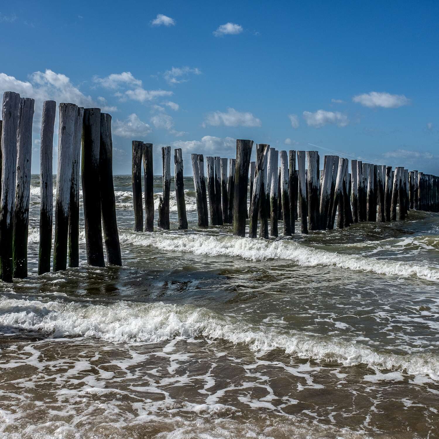 Noordzee kustpad, 20240407