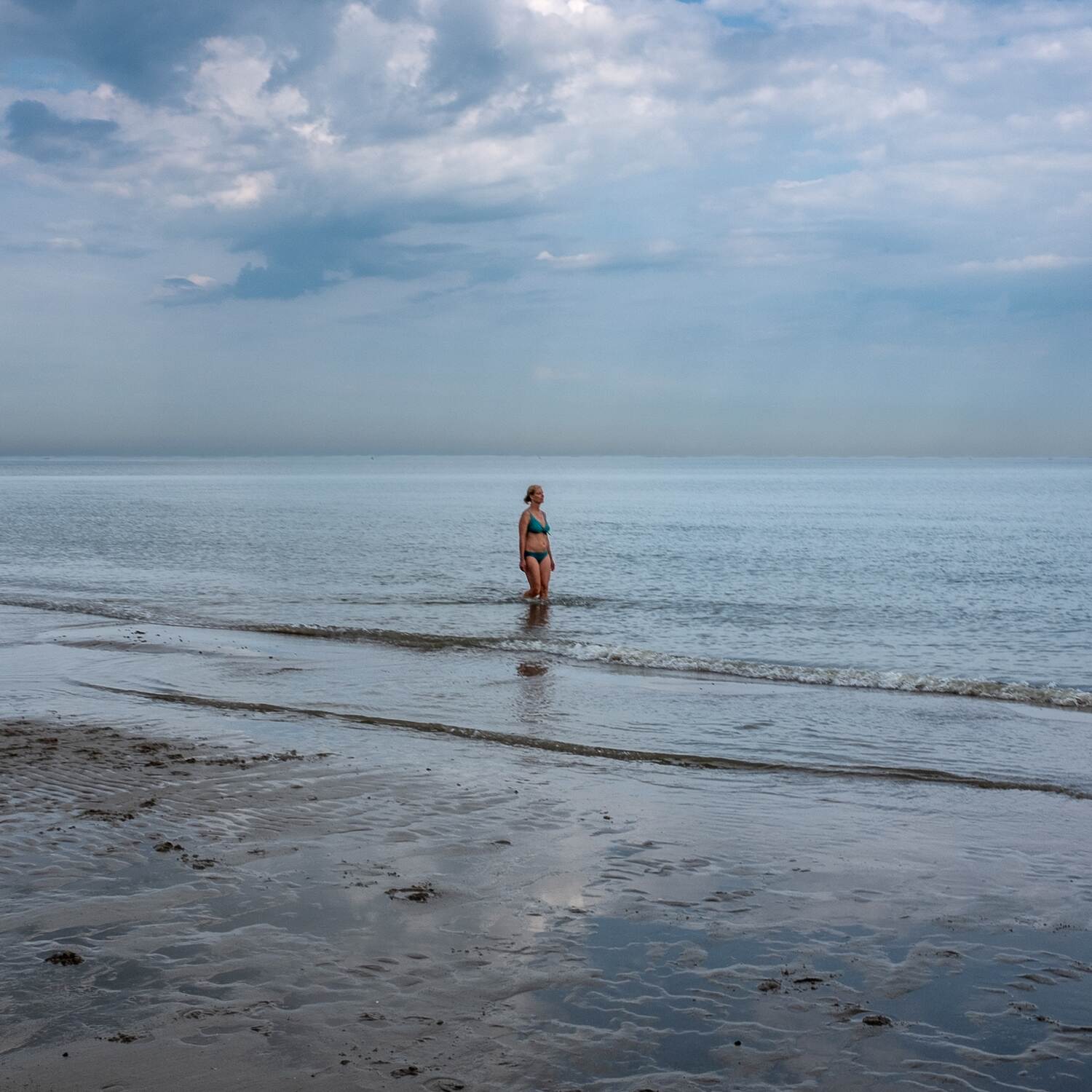 Noordzee kustpad, 20240720
