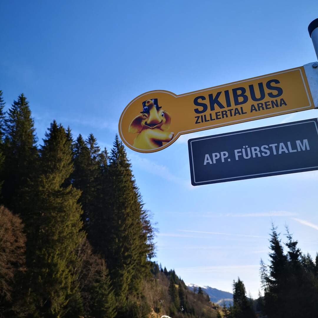 Skireis 2022
