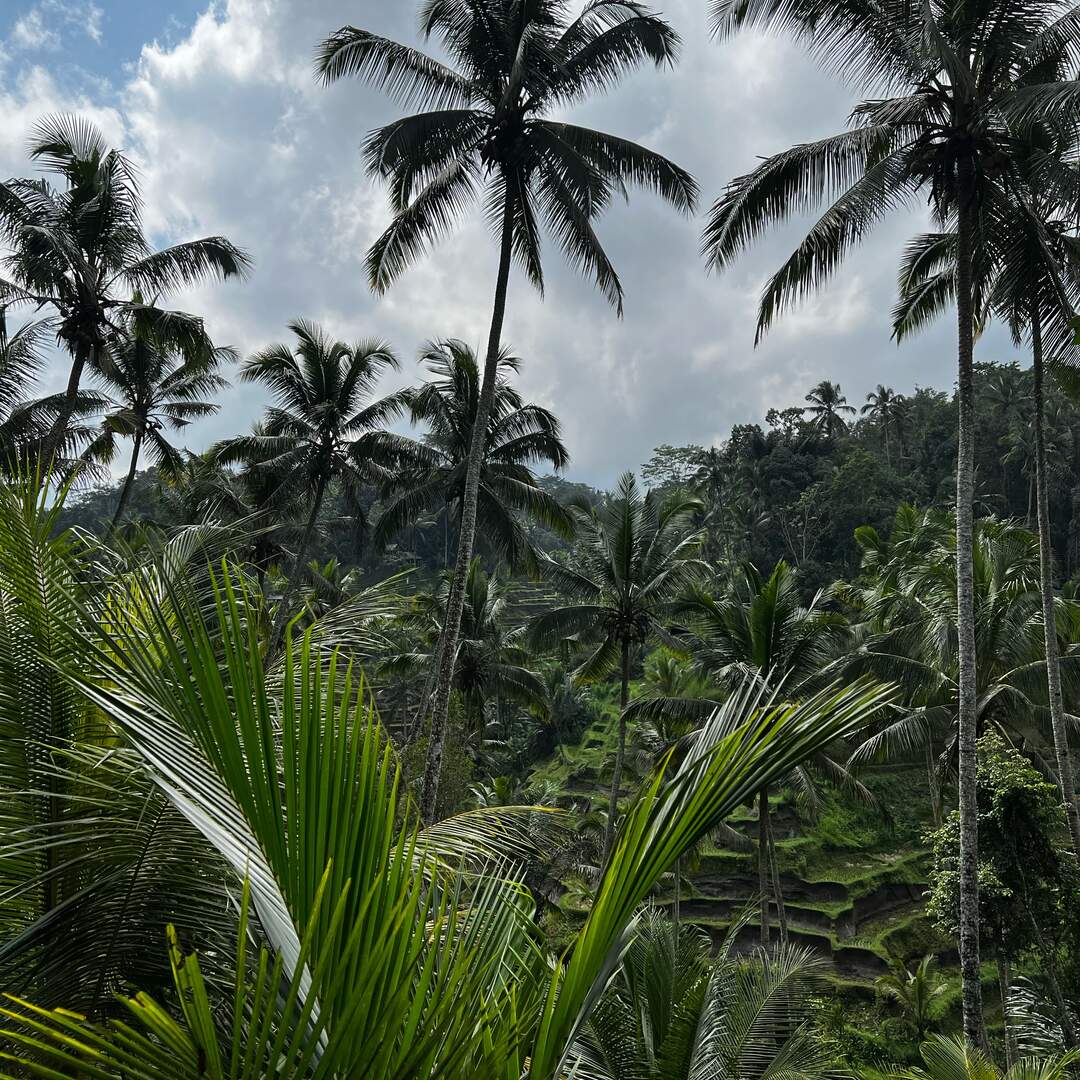 Indonesia
