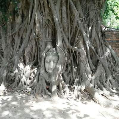 Thailand 2014