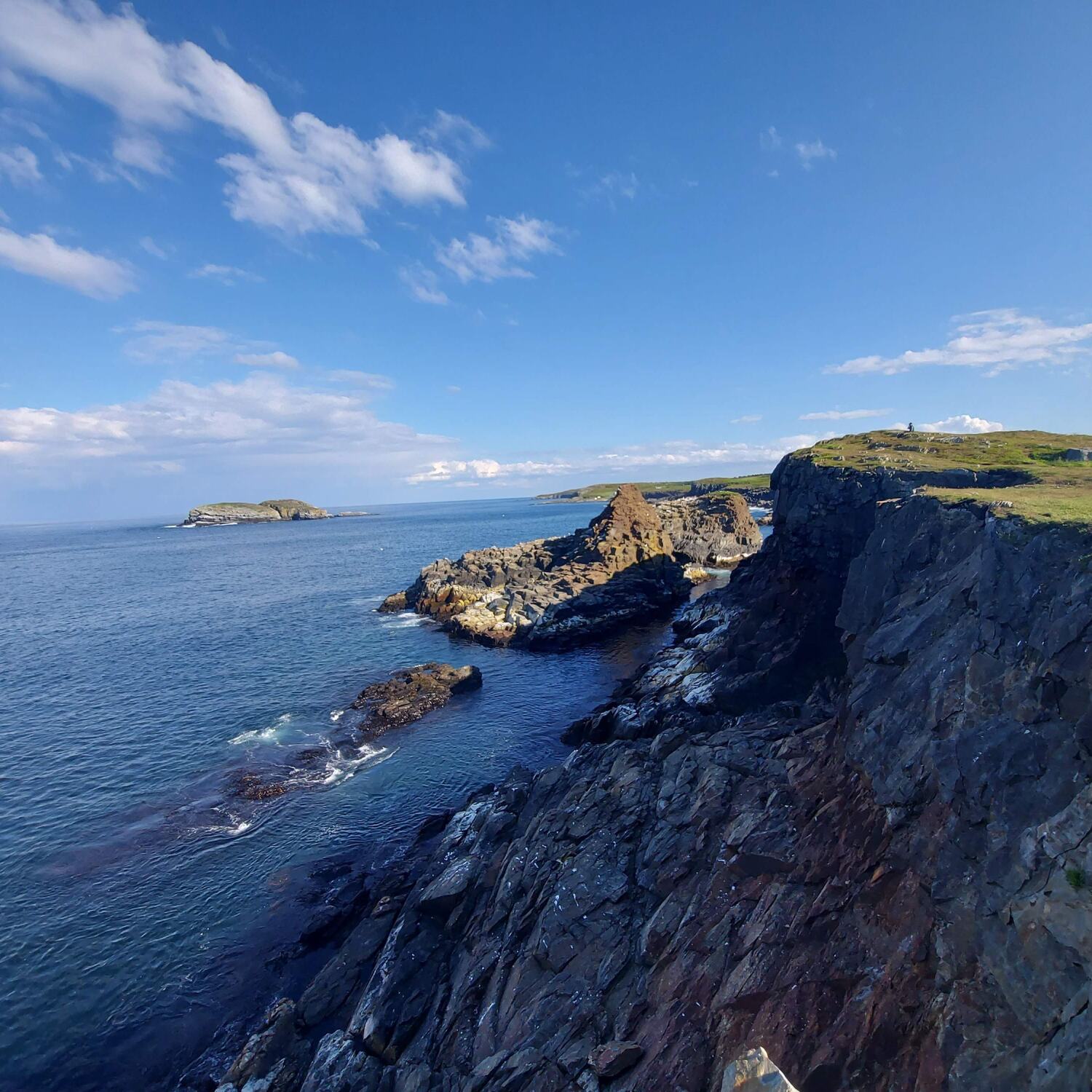 Newfoundland