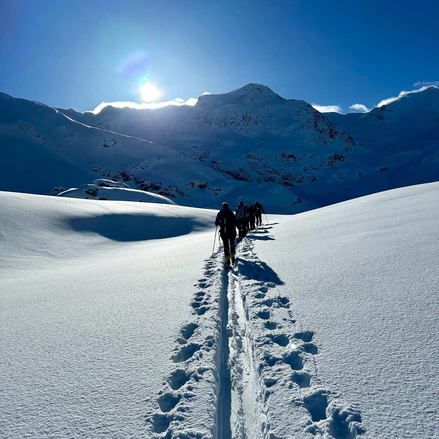 Schweizer Berge