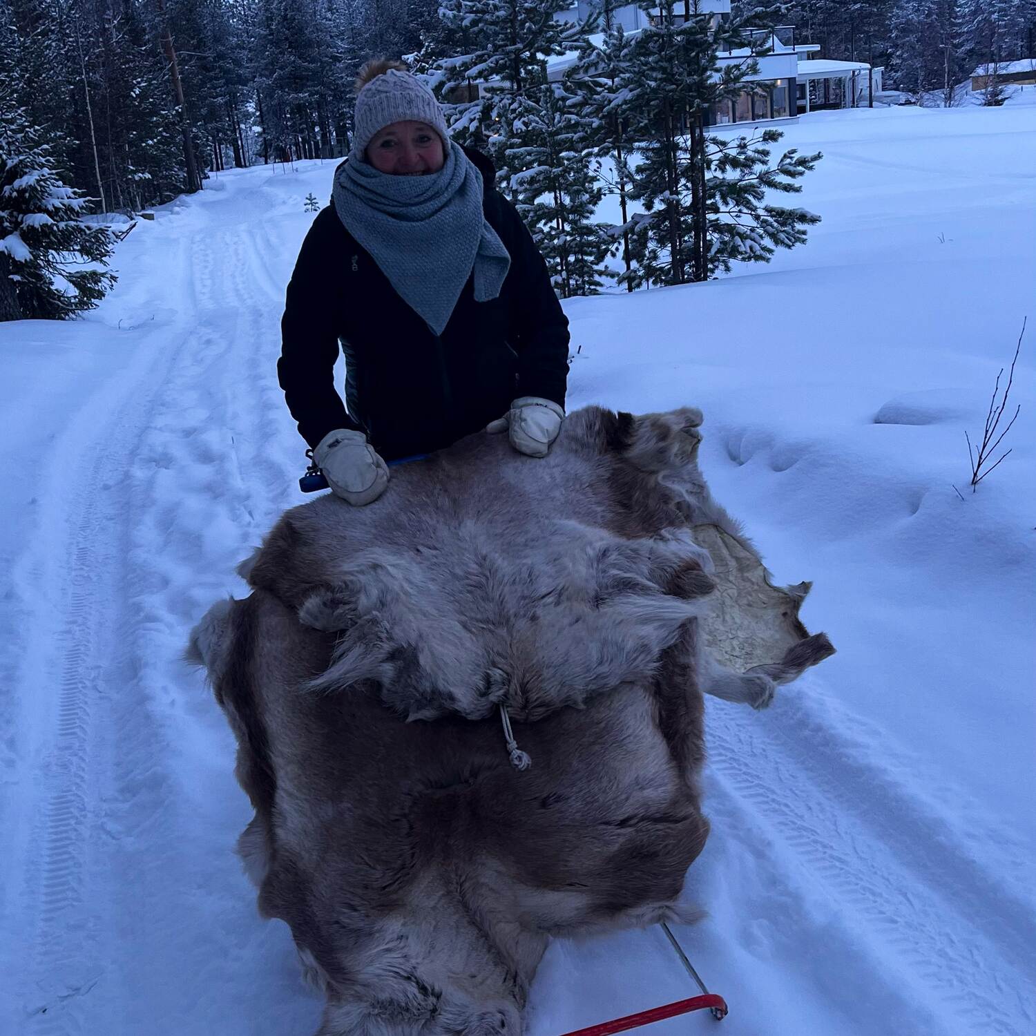 swedish Lappland 🇸🇪 Winter