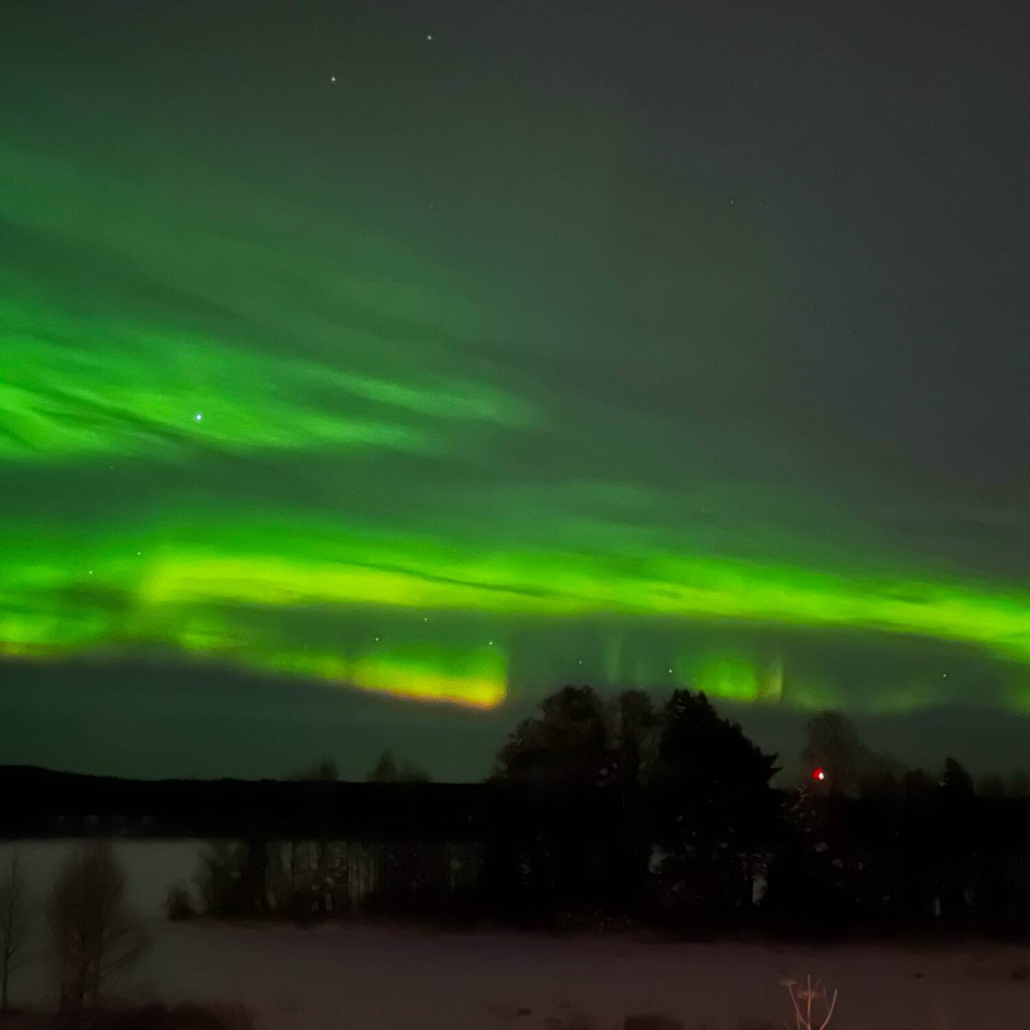 God Jul i Swedish Lapland