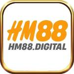 hm88 digital