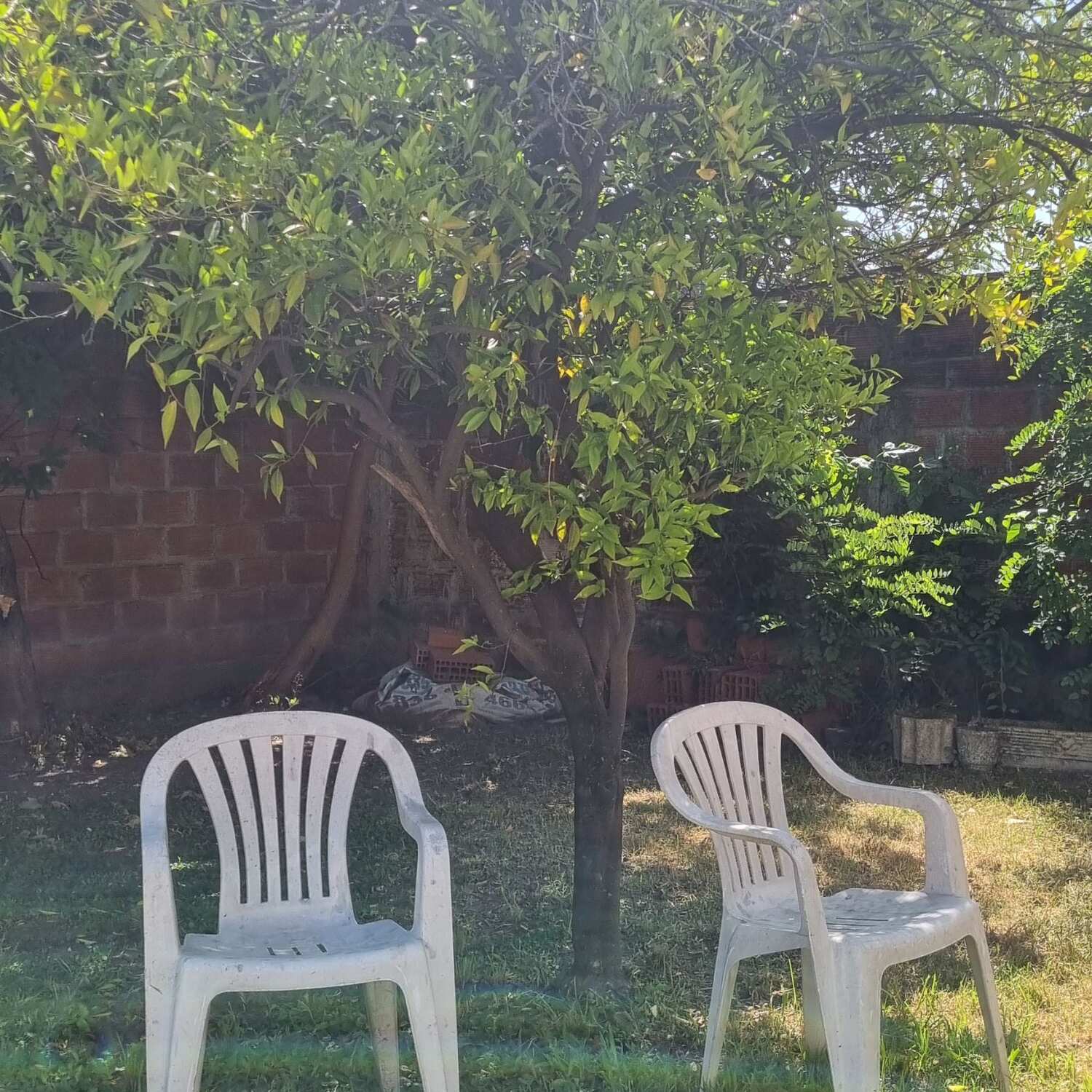 Brasil la la la la 😎 🏖