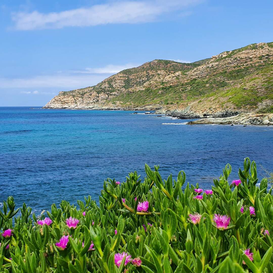 Corsica 2022