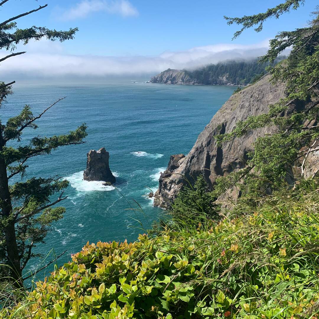 Pacific North West