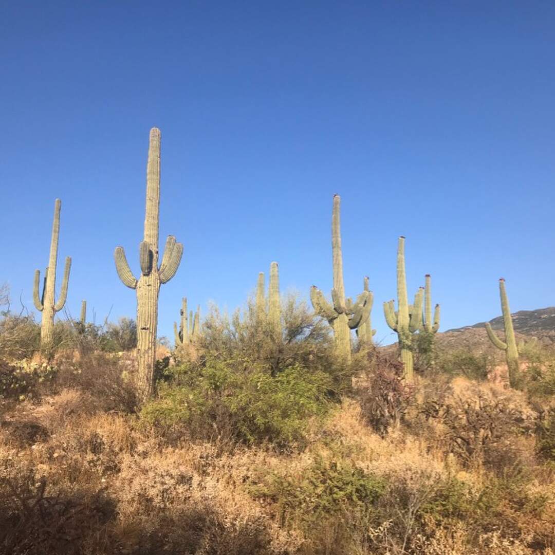 2019 - USA Texas nach Nevada