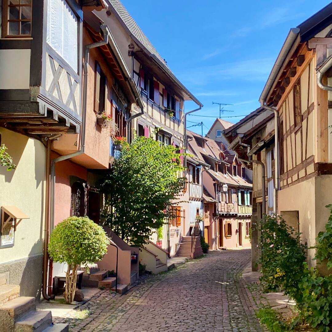 2022 - Elsass im Herbst