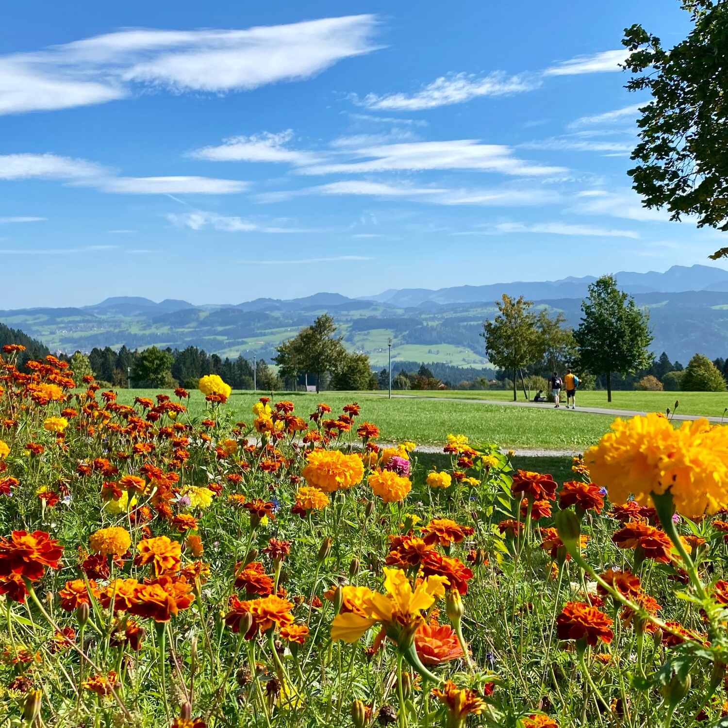 2023 - Allgäu im Herbst