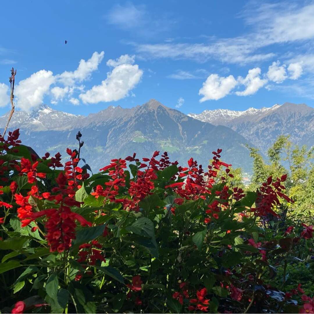 2020 - Südtirol Passeier Tal