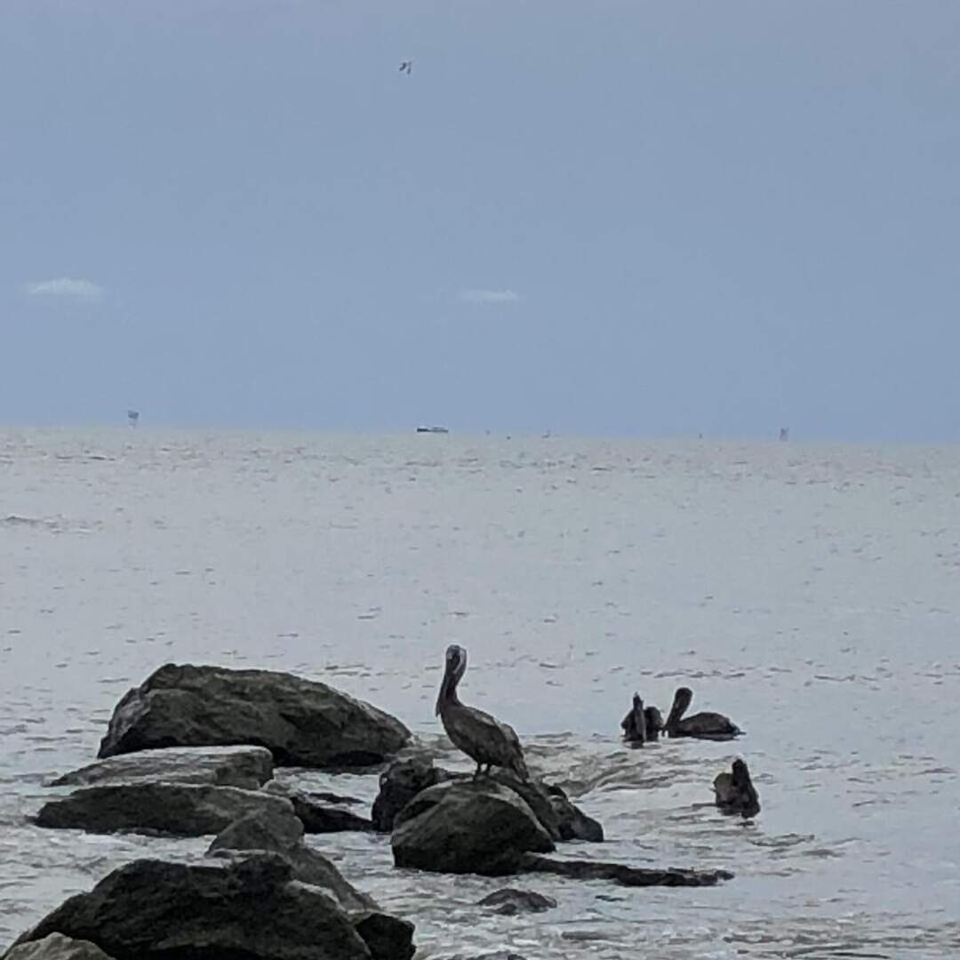 Dauphin Island
