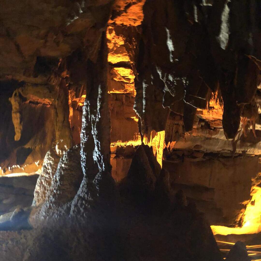 Mammmoth Cave